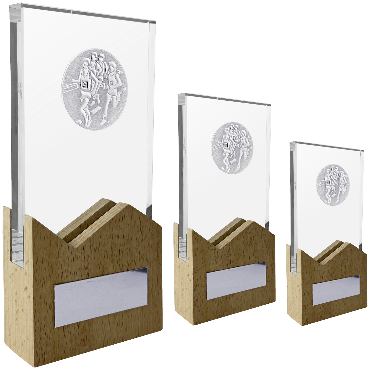Hochmoderne edle Glas-Holz-Trophäe  (Artikel 300)